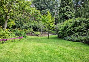 Optimiser l'expérience du jardin à Neauphle-le-Chateau